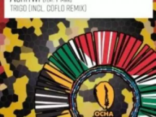 TriGo X T-Man - Ashitwi (Coflo Remix)